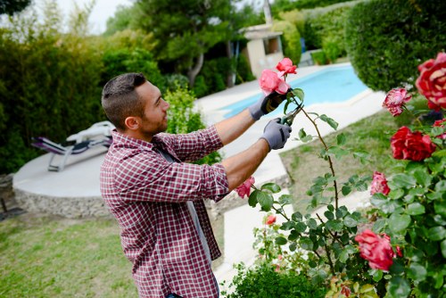 Professional arborist preparing for tree cutting