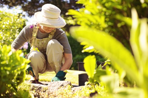 Our mission for exceptional tree care