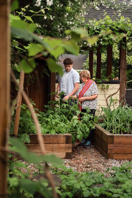 A vibrant garden scene featuring a large, lush flowering shrub with abundant orange and yellow blossoms planted in a weathered wooden raised bed. Behind the raised bed, there is a small, semi-circular