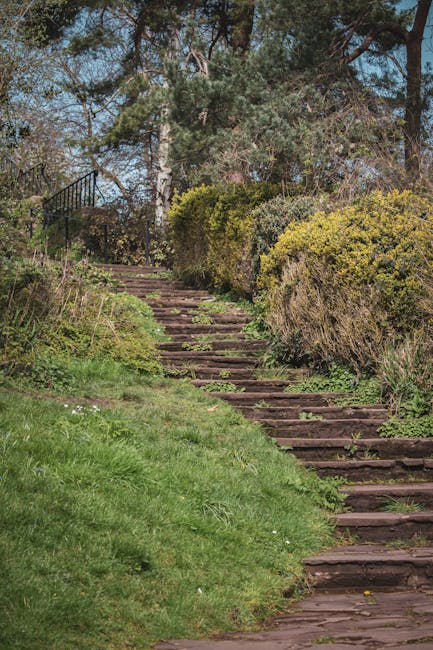 A garden path made of wooden steps ascending a gentle slope, bordered by lush green grass on one side and dense shrubbery on the other. The path is partially overgrown with small plants and moss, indi