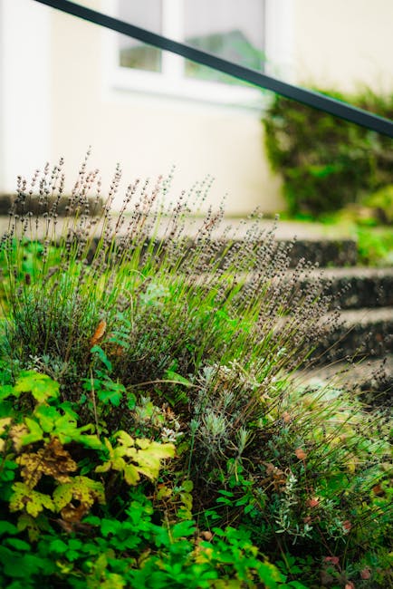 A garden path made of wooden steps ascending a gentle slope, bordered by lush green grass on one side and dense shrubbery on the other. The path is partially overgrown with small plants and moss, indi